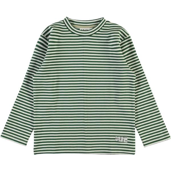 Mikhail green stripe bluse fra Molo til drenge - Lillepip.dk