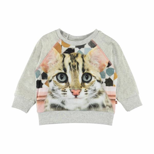 Elsa Kitty Kitty sweatshirt bluse fra Molo - Lillepip.dk