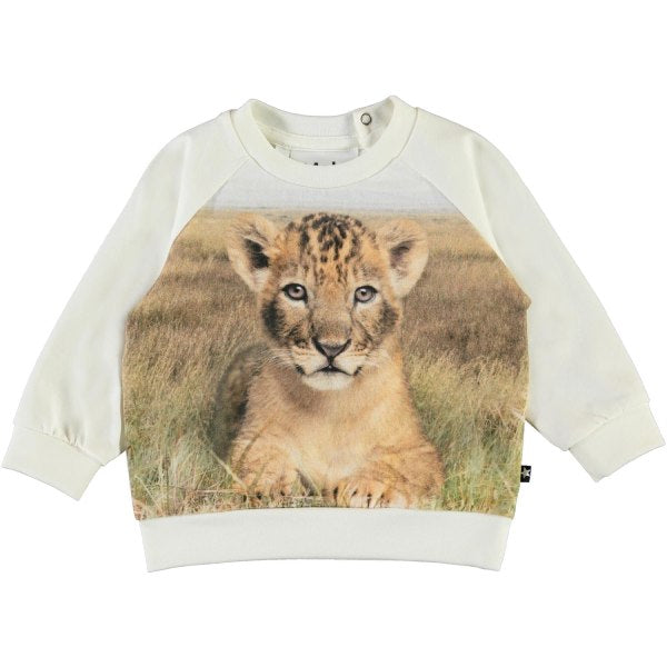 Esco young lion sweatshirt bluse fra Molo til børn - Lillepip.dk