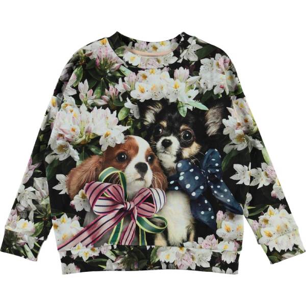 Pretty puppies Maxi sweatshirt bluse fra Molo til børn - Lillepip.dk